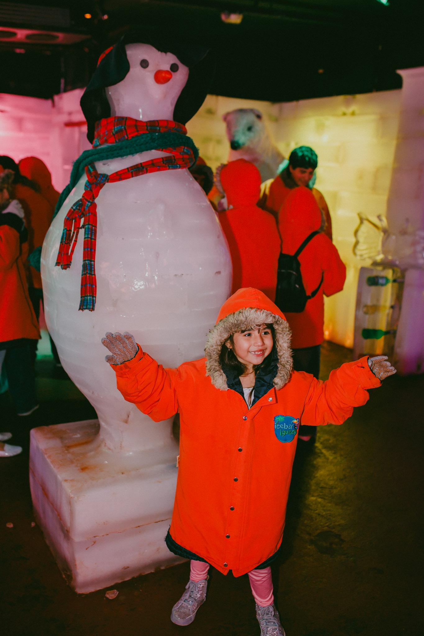 Icebar - 6